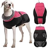 DENTRUN Winter Warm Dog Coat Windproof Cozy Dog Jacket Cold Weather Thick Fleece Vest Water Repellen