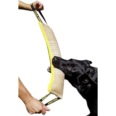 DINGO Jute Tug Toy with Handles Cover