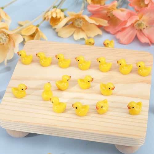 Halinuia 100 Stück Mini Harz Enten, Mini Resin Duck Kleine Figuren Mini Enten Figuren Kleine Ente Miniatur Figuren Niedliche Ente Dekoration für DIY Aquarium Garten Landschaft Puppenhäuser