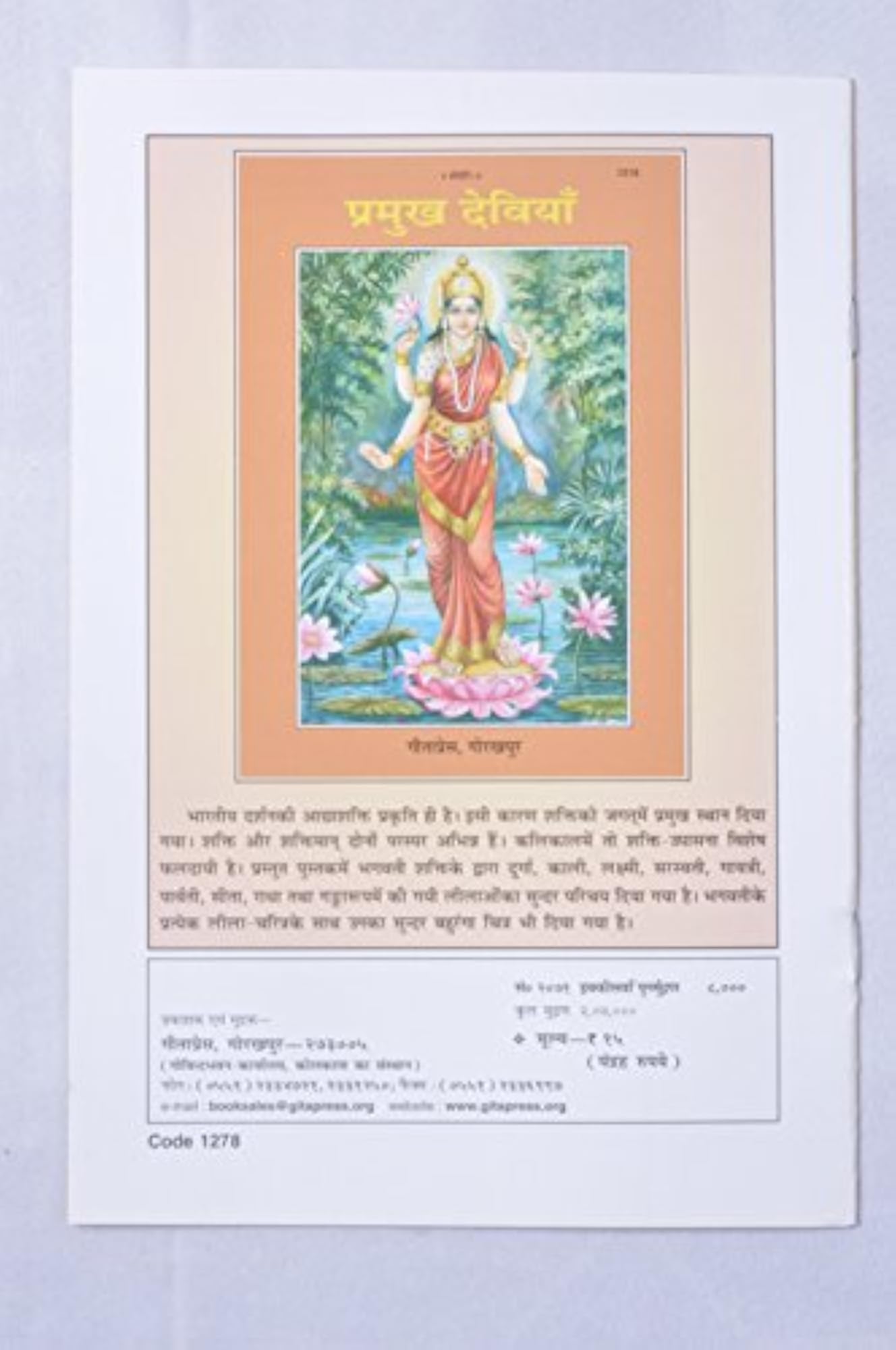 Dasha Mahabidya, Spiritual Text in Hindi