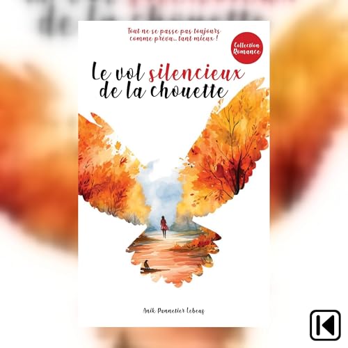 Le vol silencieux de la chouette Audiolivro Por Anik Pannetier-Lebeuf capa