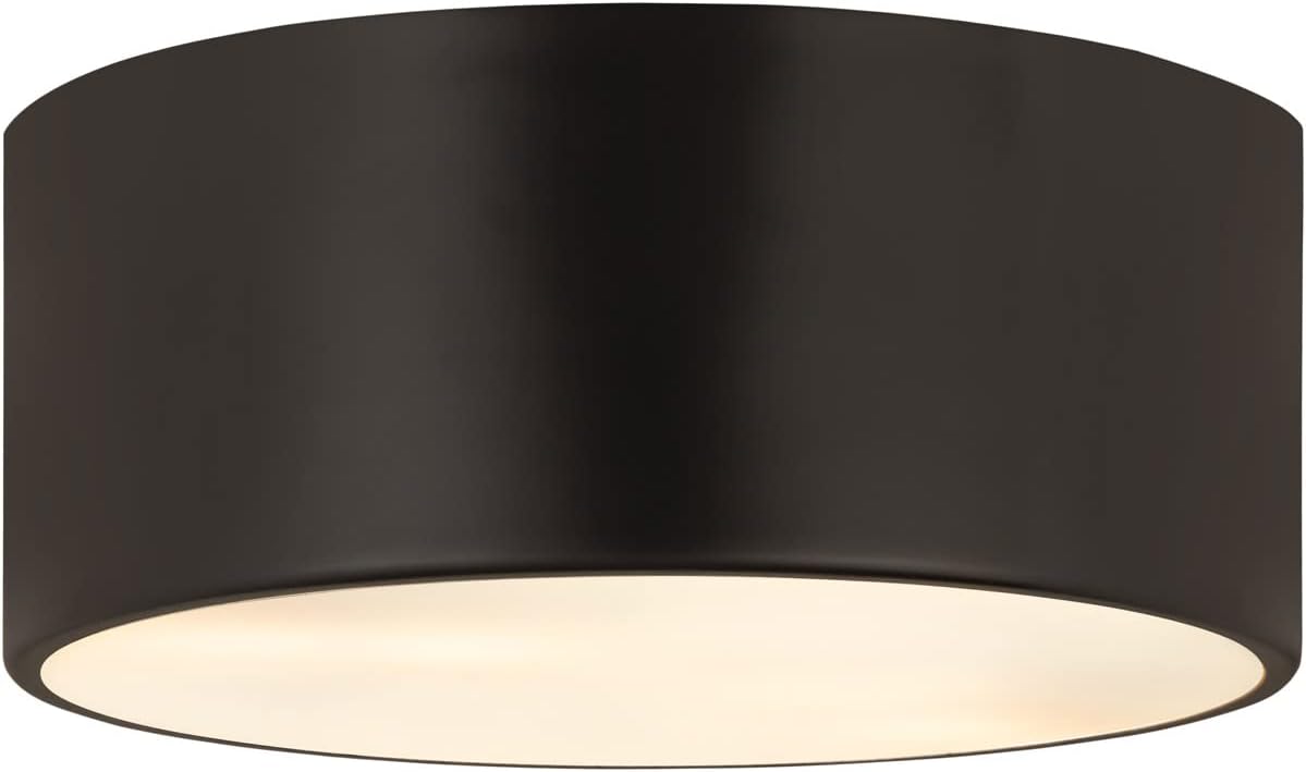 Z-Lite 2 Light Flush Mount 2302F2-MB
