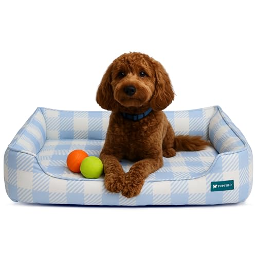 Pupstilo Orthopedic Bolster Dog Bed – CertiPUR-US Foam, Recycled Polyester Canvas, Washable Cover, Anti-Slip Bottom, Medium, Light Blue Check – Stylish Designer Dog Sofa