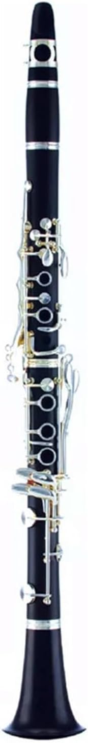 clarinet for Beginner B flat clarinet instrument adult beginner performance