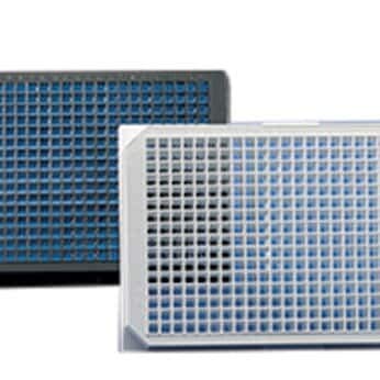 BrandTech 781982 BRANDplates cellGrade Sterile Microplate, 384-Well, PS, Black, 100 µL, Standard F-Bottom; 50/PK