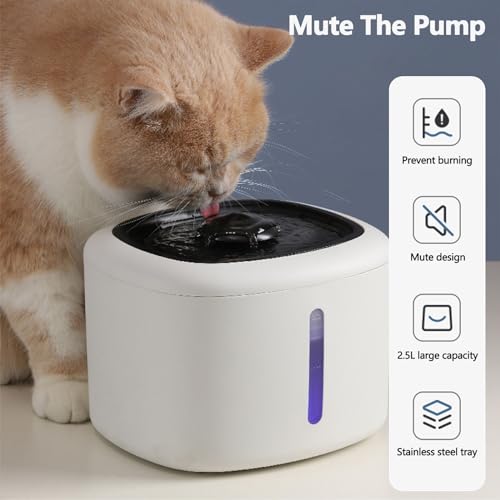 Fuente automática de agua para gatos 2.5L con luz LED miniatura 2
