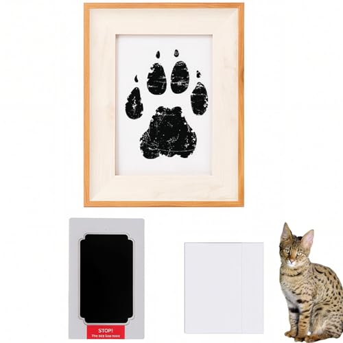 Lifetips ToiLbg Savannah Cat ybgp  X^v Lbg ^  ``X^v `쐬Lbg LO  Ȃ `    ` ^ ȒP S y Ճpbh IWi vg