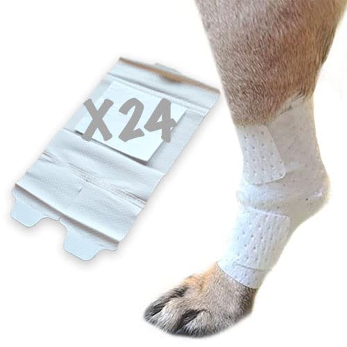 PawFlex Joint and Large Area Wound Bandages for Dogs Cats & Other Pets. Great for Leg Joint sprains and Tail Injuries! Non Adhesive Breathable Non-Slip Disposable Washable Value Pack (L/XL 16pk)