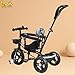 Luusa Galaxy Edition Gt-500 Tricycle Plug and Play | Tricycle with Height...