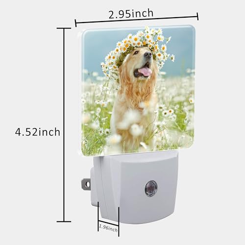 Image of Plug in Night Lights Golden Retriever with Daisy Wreath Night Light with Dusk to Dawn Sensor Night Light for Kid Girls Boys Women Men Room Decor, Hallway, Kitchen, Bathroom, Nursery, Stairs
