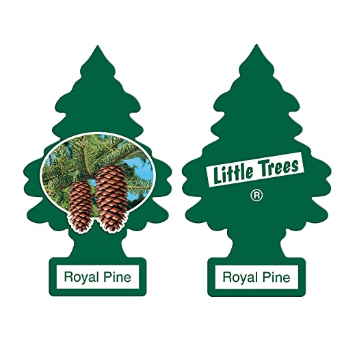 Image of LITTLE TREES Car Air Freshener | Hanging Paper Tree for Home or Car | Royal Pine | 12 Pack
