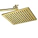 ShowerMaxx | Premium 8 inch Square High Pressure Luxury Spa Rainfall Shower Head- Removable Restrictor for Waterfall Rainshower - Self Cleaning High Flow Nozzles -Polished Brass Finish Rain Showerhead