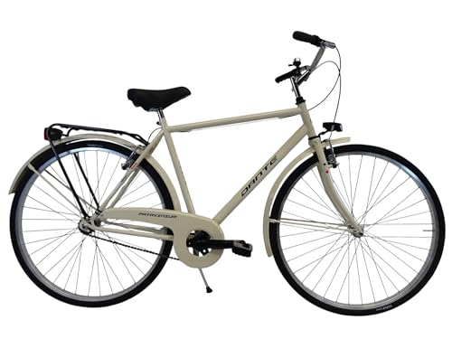 Sicurezza e Visibilità: Dotata di un impianto di illuminazione (anteriore e posteriore) e di affidabili freni V-Brake che assicurano una frenata pronta e modulabile in ogni condizione urbana.