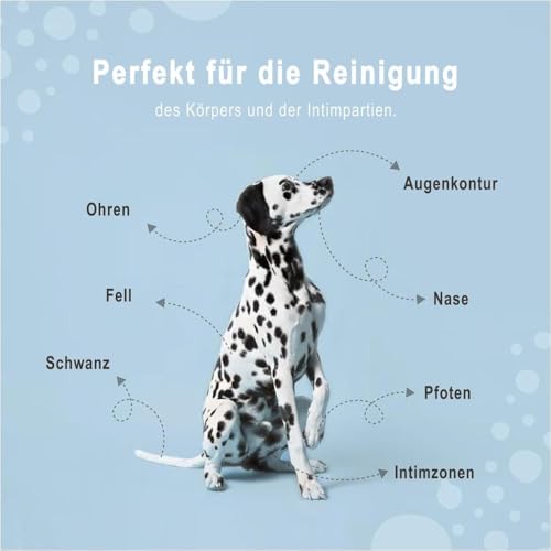 Animal House Dufttücher 35 Stück: Hypoallergene und biologisch abbaubare Feuchttücher für die tägliche Reinigung von Hunden und Katzen (35, Aloe und Chlorhexidin)