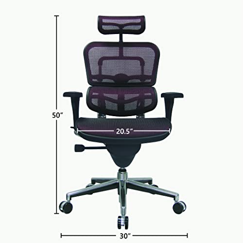 Image of Ergohuman Eurotech Seating High Back Mesh Managers Chair, Plum Red