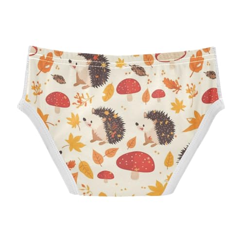 Wusikd Hedgehogs Mushroom Boys' Underwear Cotton Autumn Leaves Boys Briefs Soft Toddler Underwear 2T2