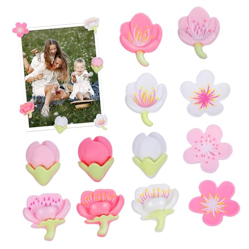 Housoutil 12ԃ`[t①Ƀ}Olbg ʂȐF t Lb`ItBX QΉ 肵z͂Ŕ