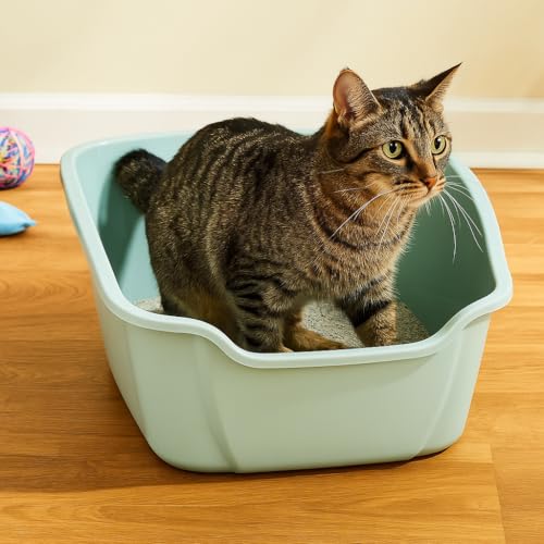 Arenero para gato grande con paredes altas, plástico miniatura 6
