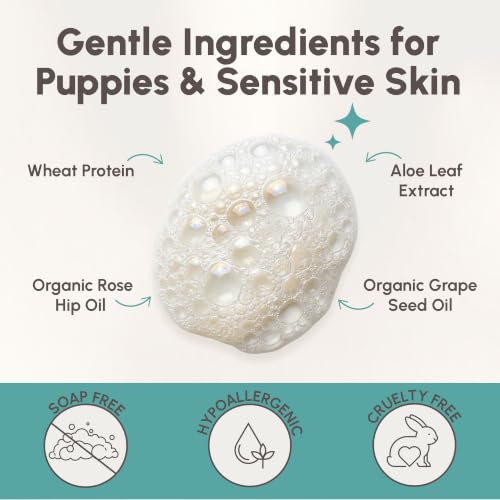 Image of Best Shot Pet Scentament Spa Seasonal Facial & Body Wash (Caribbean Dream, 16 fl oz)