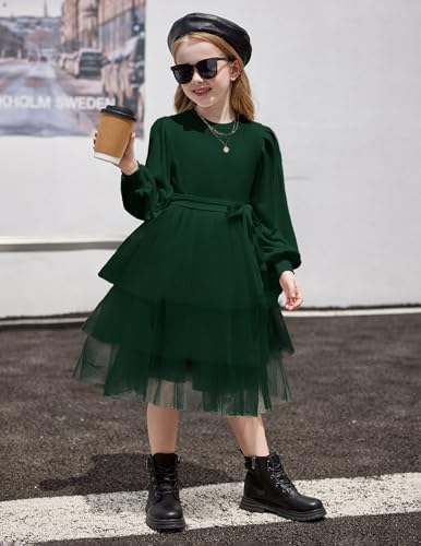 Arshiner Toddler Dress Little Girls Tutu Fall Winter Puff Long Sleeve Princess Party Tulle Dresses3