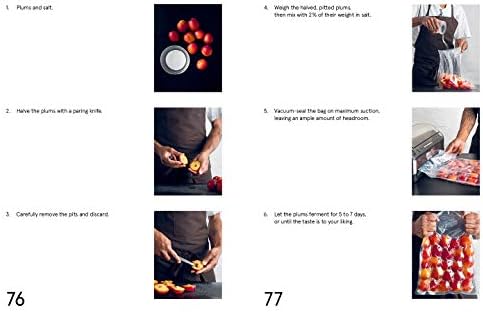 Noma Guide to Fermentation: Foundations of Flavor