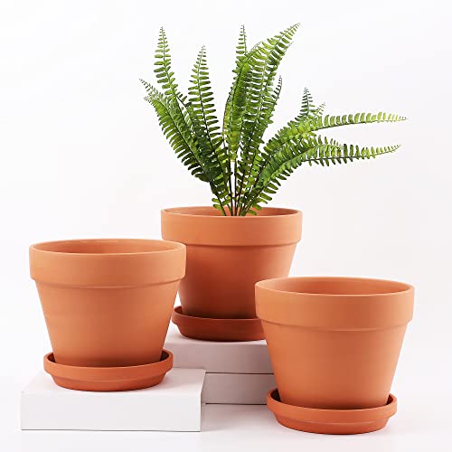 Fengson 8 Inch Clay Pot For Plant With Saucer - 3 Pack Large Terra Cotta Plant Pot With Drainage Hole, Clay Planters Pot, Terracotta Pot For Indoor Outdoor Plant #TOP13