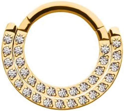 16GA Stainless Steel CZ Crystal Lined Double Row Hinged Segment Ring