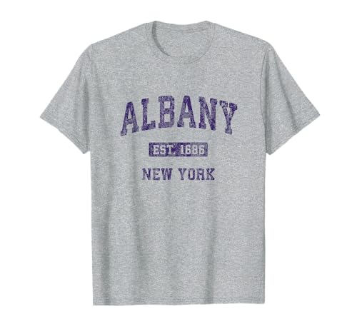 How far is albany to nyc