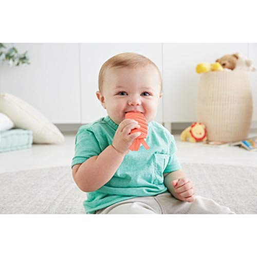 Meu Primeiro Sushi, Fisher Price, Mattel, Multicolorido