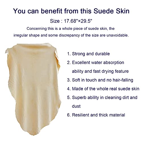 Torrami Vehicle Cleaning Accessories 19 X 31 Inch Approximately, Leather Chamois Cloth Natural Fabric Shammy Drying Towel Dryer For Car Wash Care (19 X 31 Inch) #TOP1