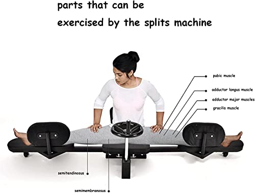 Image of Leg Splits Machine Adjustable Length Splits Trainer Improve Leg Flexibility Stretch Ligament Extends 180 Shaping The Leg Waist and Hip Line for Home Gym Fitness Dan C (D)