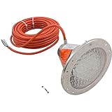 Pentair 78438100 Amerlite Underwater Incandescent Pool Light with Stainless Steel Face Ring, 12 Volt, 50 Foot Cord, 300 Watt