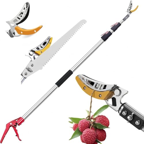 Ornatego ̙EEʁEnォSɁB{ŎOʂ|c[BSK5|̉sȐnƌ\ȋnŁA}炭炭BLk|[ōƂ̊댯ƌ̖𓯎ɉ܂B (5m Lk\)