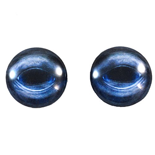 Black Bird Glass Eyes 6mm To 40mm Gothic Crow Jewelry Making Goth Art Dolls Supply Foul Taxidermy Sculptures Eyeball Domed Cabochons Props - UK