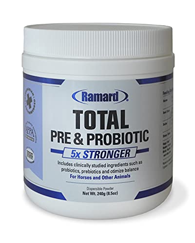 Ramard Total Prebiotic and Probiotic Equine Powder — Digestive Health Supplement for Foals and Adult Horses — Probiotics for a Healthy Gut — Made with Natural Ingredients — 8.5 oz Jar
