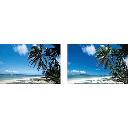 Amazon | Canon カメラ用ドロップイン円偏光フィルター PL-C 52