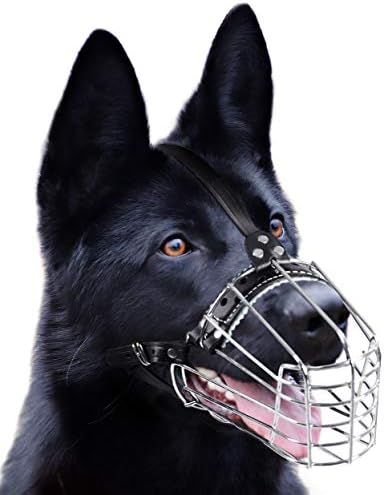 wire muzzle german shepherd