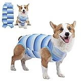 Recovery Suit for Dogs Dog Onesie for Surgery, Dog Surgery Recovery Suit for Small Medium Dogs, E-Collar Alternative After Surgery Wear Anti Licking Abdominal Wounds Pet Surgery Recovery Suit
