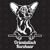 Vous pouvez trouver notre sélection de couleurs sous les images des produits. Sélectionnez la couleur de votre choix et entrez-la dans le processus de paiement ou envoyez-nous un message en utilisant le formulaire de contact. Si aucune information n'est donnée sur la couleur, nous enverrons l'autocollant en blanc comme indiqué.