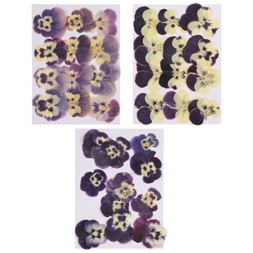 Flores secas prensadas naturales para manualidades x36 miniatura 1