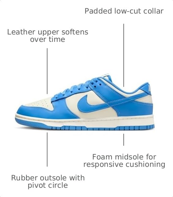 Image of Nike Dunk Low Retro Mens Shoes