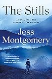 The Stills: A Novel (The Kinship Series, 3)