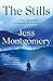 The Stills: A Novel (The Kinship Series, 3)