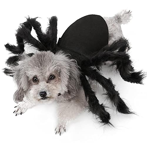 Fantasia de aranha de estimação, Horror Simulação Big Spider Pet Dress Up, Trajes de fantasias de ca