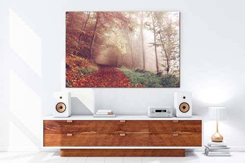Chemin de forêt brumisé en automne : illuminez vos murs blancs monotones - 5