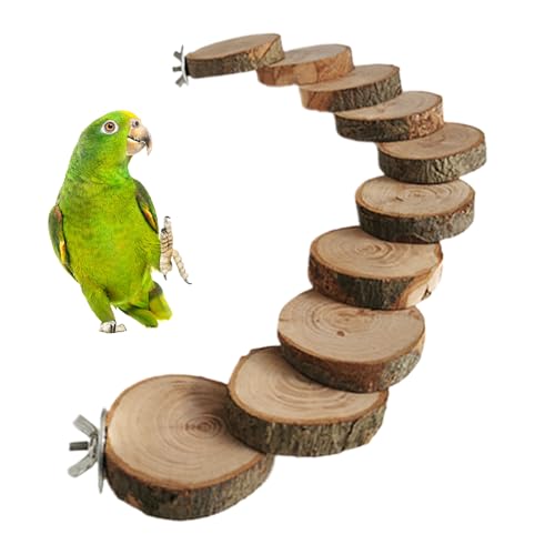 ͂,NC~OgC |  ͂  - IJCR tB` ƂŌǓƂȎ ދh~ _h Vя