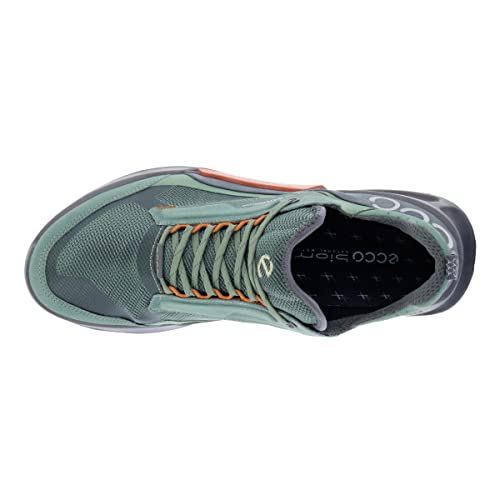 Ecco Men's Biom 2.1 Cross Mountain Waterproof Low Trail Running Shoe, Frosty Green/Frosty Green/Magnet, 11-11.5 #TOP6