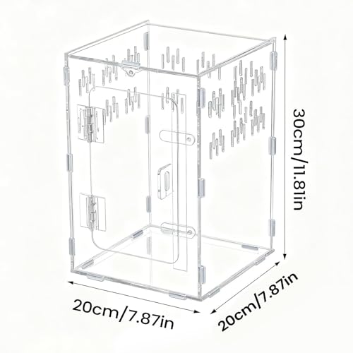 Terrarium pour araignée sauteuse en acrylique transparent avec caverne