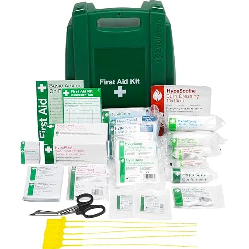 Safety First Aid Group Workplace First Aid Kit British Standard (Small 1-25 Persons) Wall Mountable with Inspection Tags and Extra Plasters