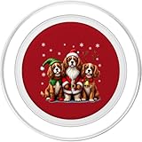 Zoom IMG-1 cavalier king charles spaniel cani